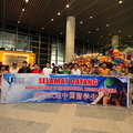 37 pel china