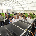 lwtn pm ke ump pkn 1