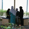 IMG 6431