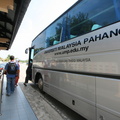 IMG 6482