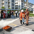 IMG 6551