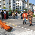 IMG 6555