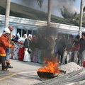 IMG 5951
