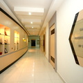 DSC 0637