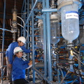 DSC 4866