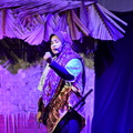 ZAF 1249
