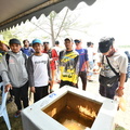 ZAF 0981