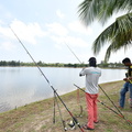 ZAF 0966