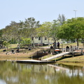 ZAF 0951