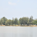 ZAF 0950