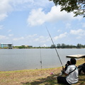 ZAF 0921