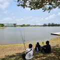 ZAF 0919