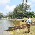 ZAF 0886