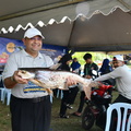 ZAF 0833