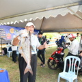 ZAF 0828