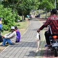 ZAF 0824