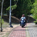 ZAF 0817