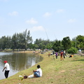 ZAF 0803