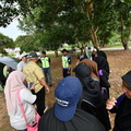 ZAF 0710