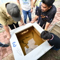 ZAF 0638