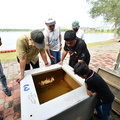 ZAF 0631