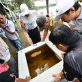 ZAF 0621