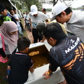 ZAF 0619