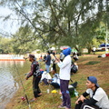 ZAF 0597