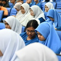 ZAF 4305