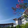 UMP Virtual Background-14