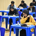 ZAF-29