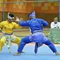  UMP0352