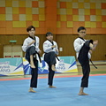  UMP0462