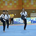  UMP0481