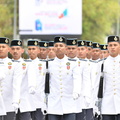 ZAF 3711