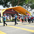 ZAF 3311