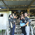 UMP5195