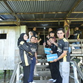  UMP5201