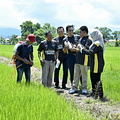  UMP5356